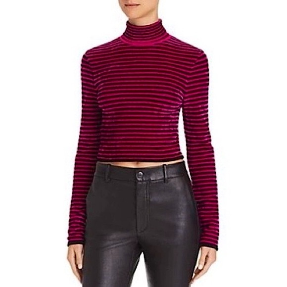 Ronny Kobo Evhanie Cropped Velvet Long Sleeve Turtleneck